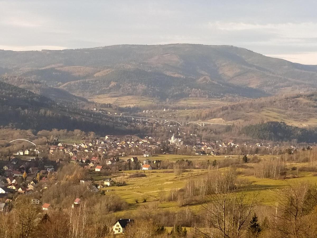 Pod Modrzewiami Milówka